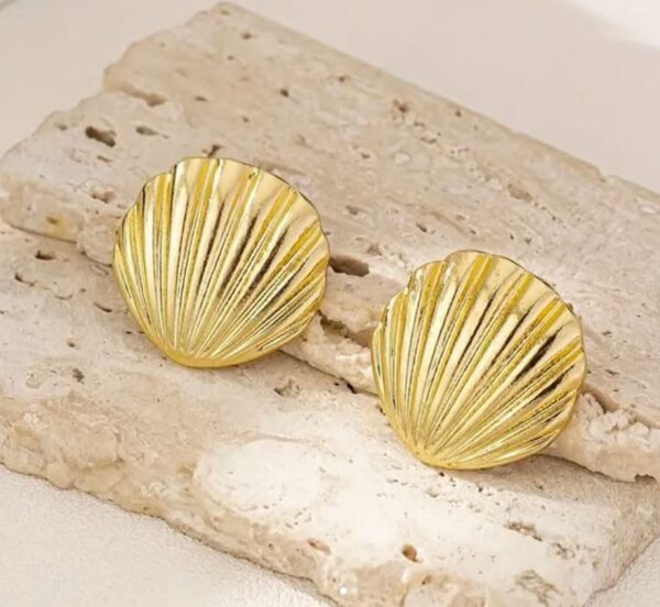 Topos Conchas de Mar