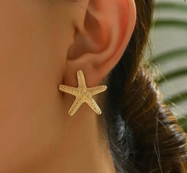 Estrellitas de Mar pequeñas - Image 2