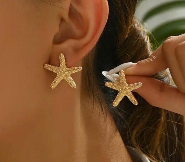 Estrellitas de Mar pequeñas